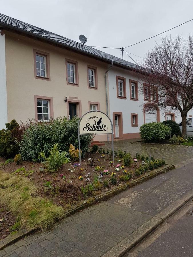 Schmitz Apartment Serrig